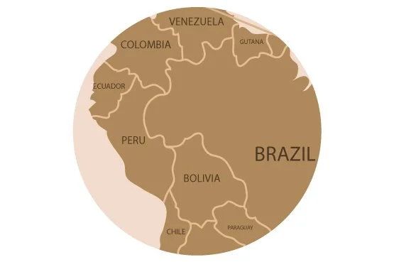 países amazonicos