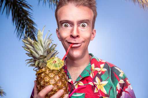 hawaii pineapple funny face