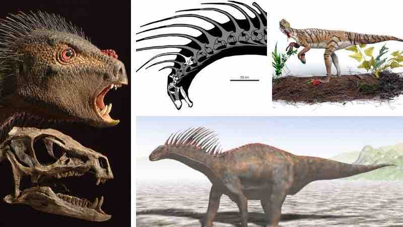 Dinosaurios en el Amazonas - Fósiles encontrados - ¡Muy Interesante!