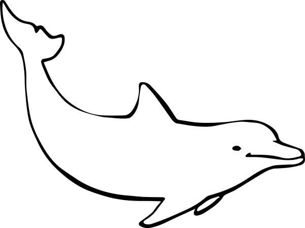 pink dolphin coloring page