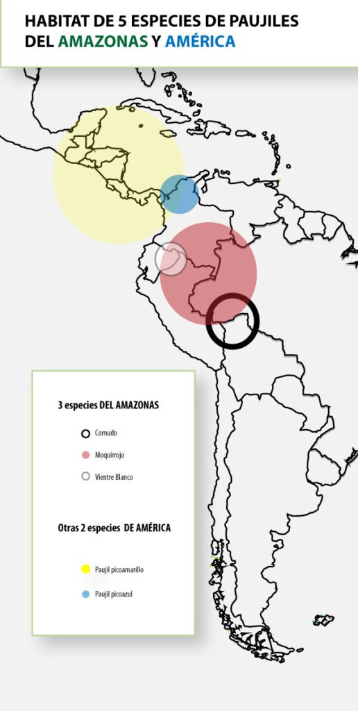 HABITAT OF 5 SPECIES OF CURASSOWS OF THE AMAZON AND AMERICAS