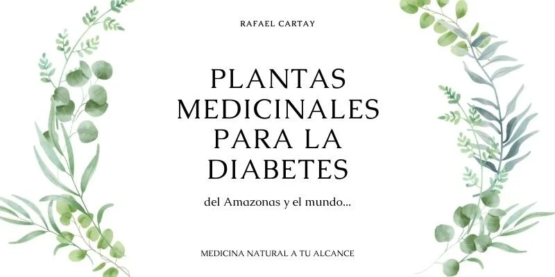 plantas medicinales para la diabetes (2)