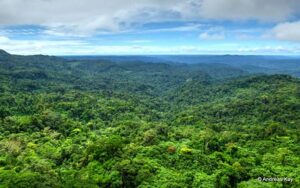 selva amazónica en puyo ecuador