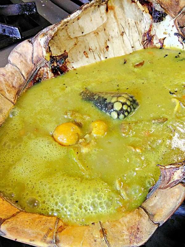 Sarapatera o zarapatera  sopa de tortuga charapa