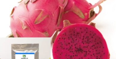 extracto organico de pitaya