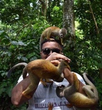 mono ardilla en la isla de los micos