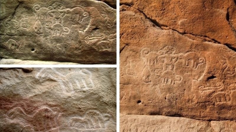 Petroglifos de La Pitaya