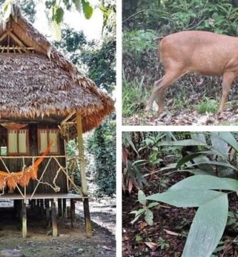 Albergue Ecológico Chalalan