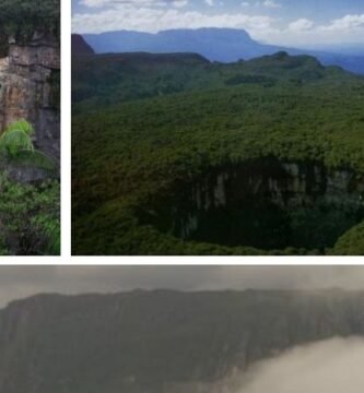 Parque Nacional Jaua Sarisariñama
