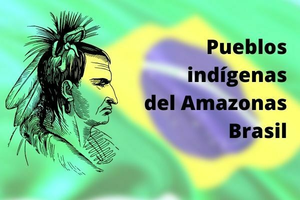 Pueblos indígenas del amazonas brasil