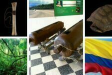 música del amazonas colombiano portada