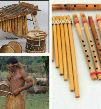 Instrumentos musicales del Amazonas
