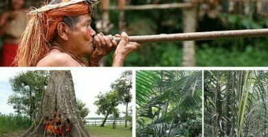 Yagua: El pueblo rojo del Amazonas peruano