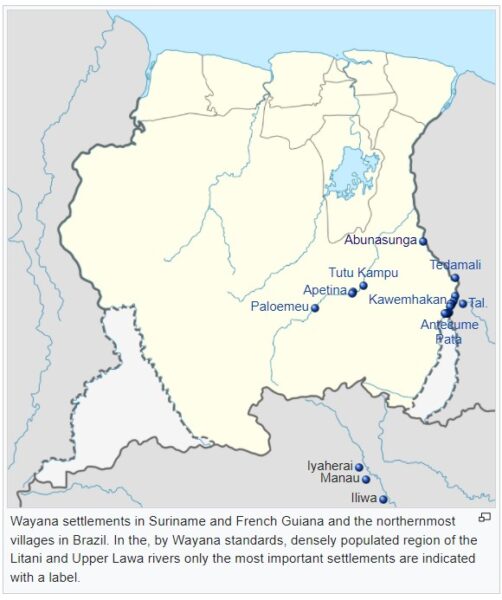 territorios ocupados por los indigenas wayana