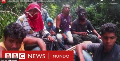 documental los guardianes de la selva amazonica bbc reportaje