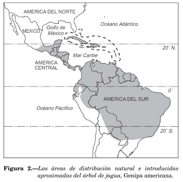 areas de distribución geográfica del wituk genipa americana LOW