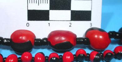 _threaded_seeds_with_beads_2