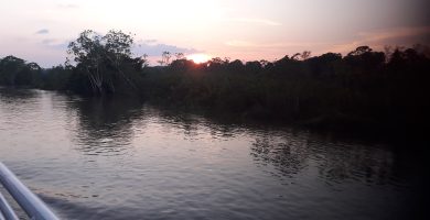 Boat trip on the Amazon River from Manaus (Brazil) to Leticia (Colombia). Original photos by: Melanny Hernández R
