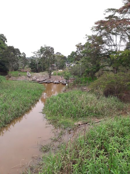 Boat trip on the Amazon River from Manaus (Brazil) to Leticia (Colombia). Original photos by: Melanny Hernández R